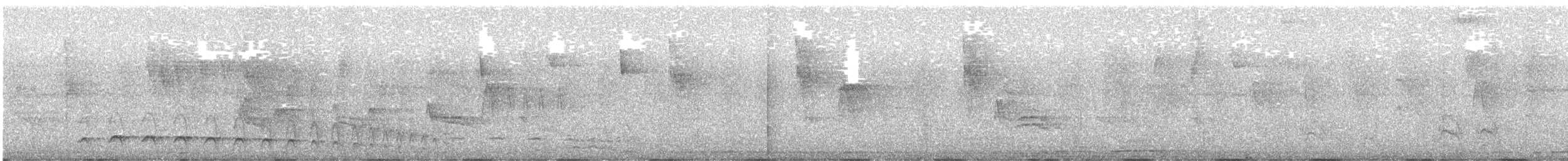 Plain Antvireo - ML644538948