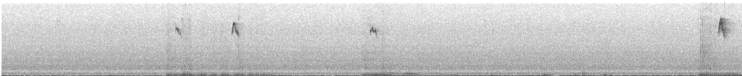 Mountain Velvetbreast - ML644539177