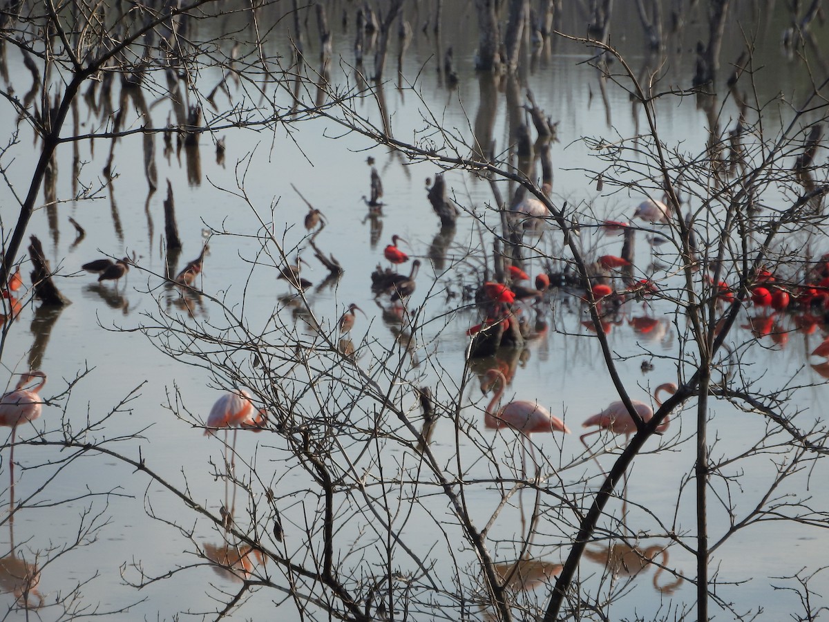 Al Aynak - ML644539244