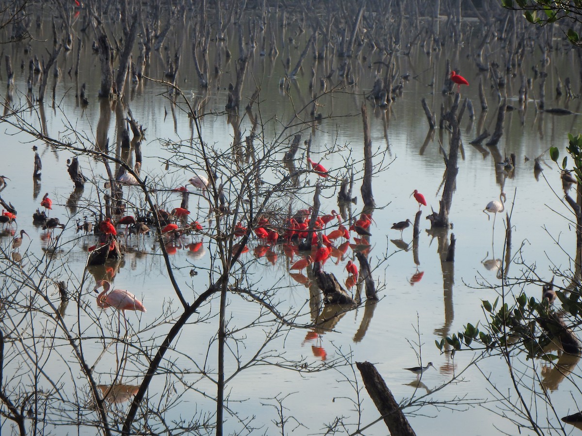 Al Aynak - ML644539264