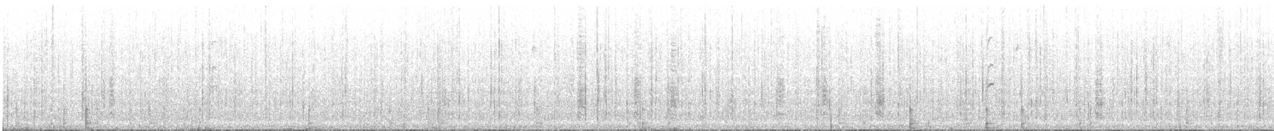 Spinus sp. - ML644539373