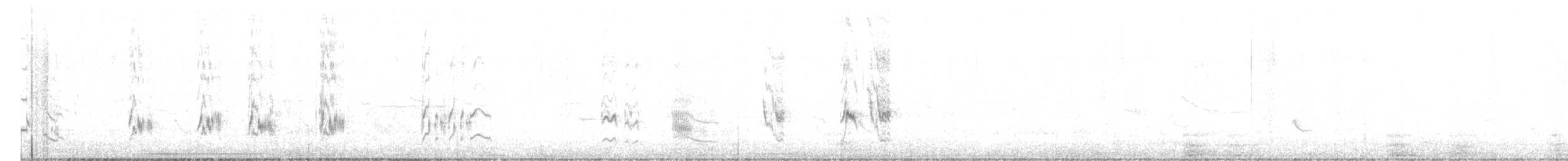 California Thrasher - ML644539572