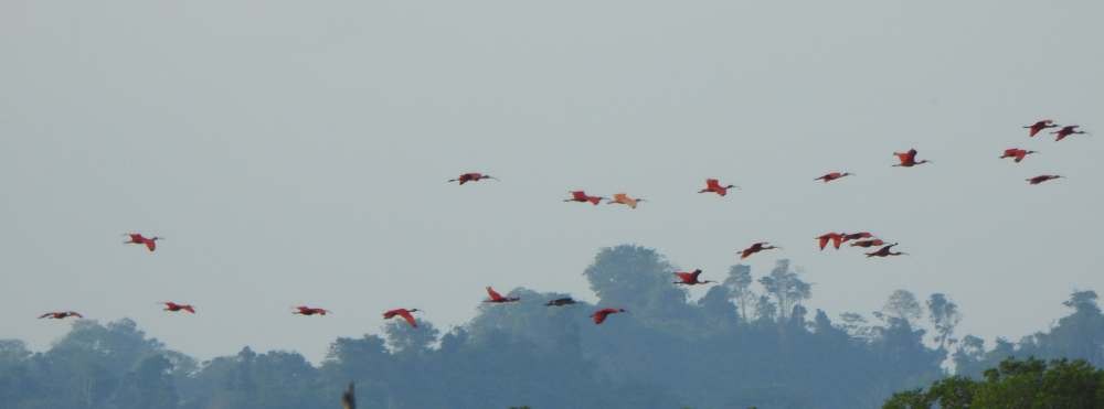 Al Aynak - ML644540000