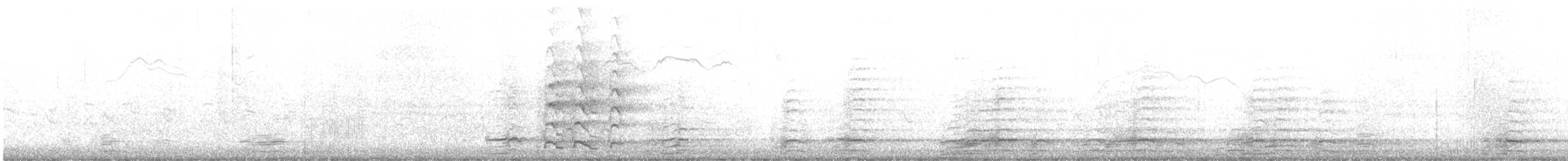 Greater White-fronted Goose - ML644540093