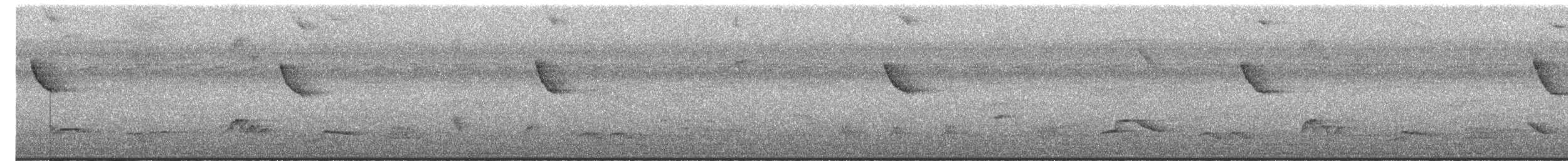 Clay-colored Thrush - ML644540899