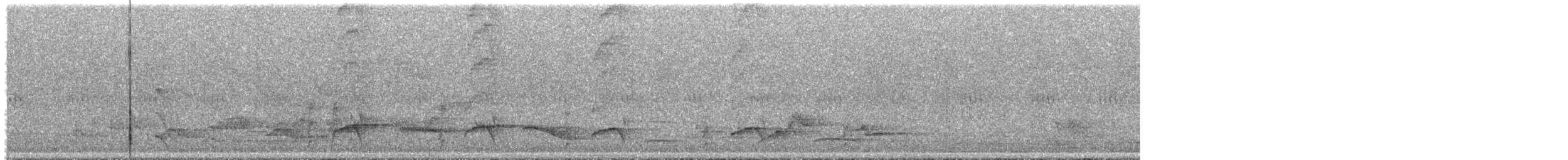 hvitstrupetreløper - ML644541122