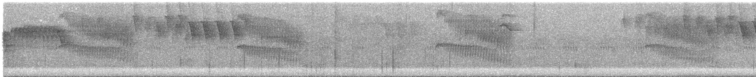 White-throated Spadebill - ML644541176