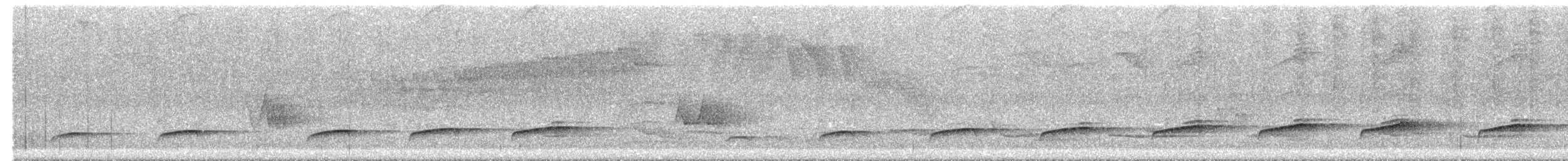 オオカギハシタイランチョウ - ML644541184