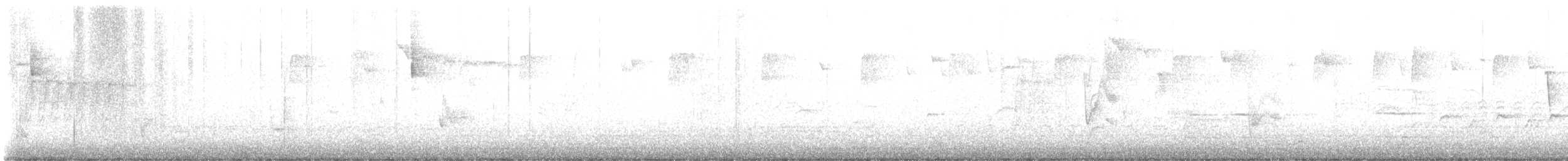 Hermit Thrush - ML644541266