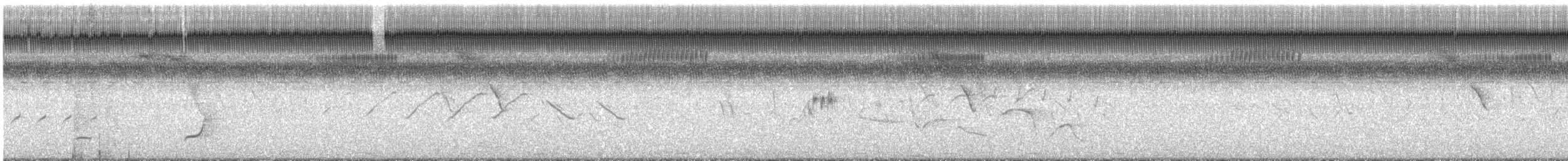 Black-throated Bobwhite - ML644541722