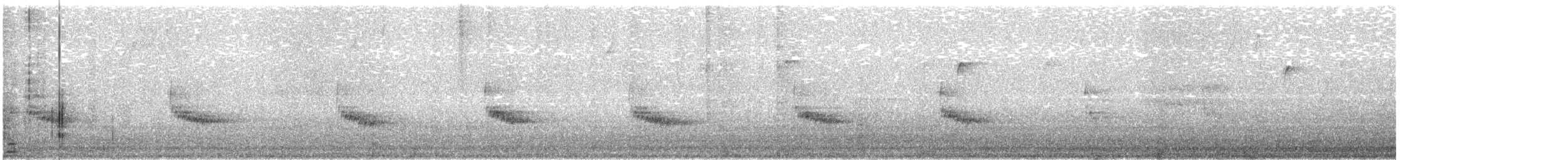 Cucarachero de Carolina - ML644541926