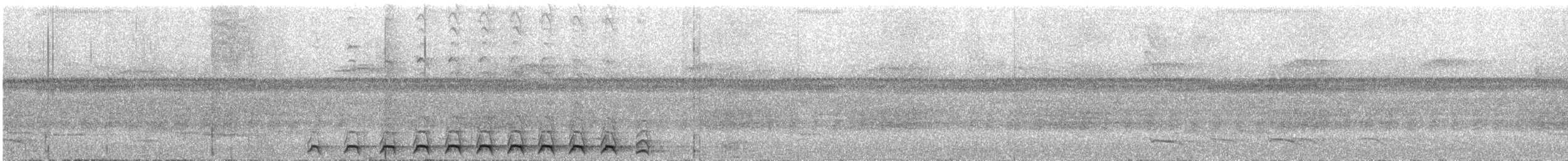 nettstjerttrogon - ML644542033