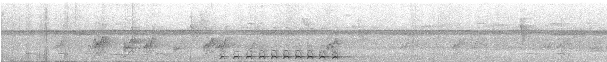 nettstjerttrogon - ML644542035