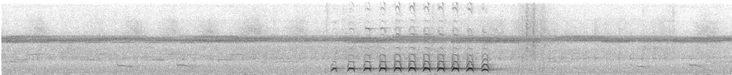 nettstjerttrogon - ML644542036