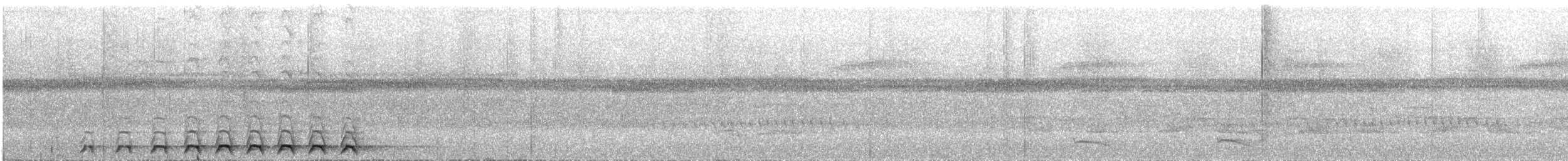 nettstjerttrogon - ML644542037