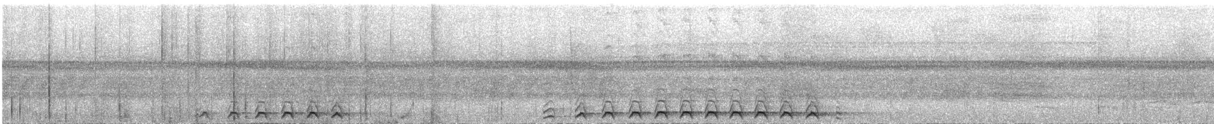 nettstjerttrogon - ML644542038