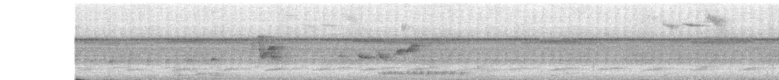 nettstjerttrogon - ML644542039