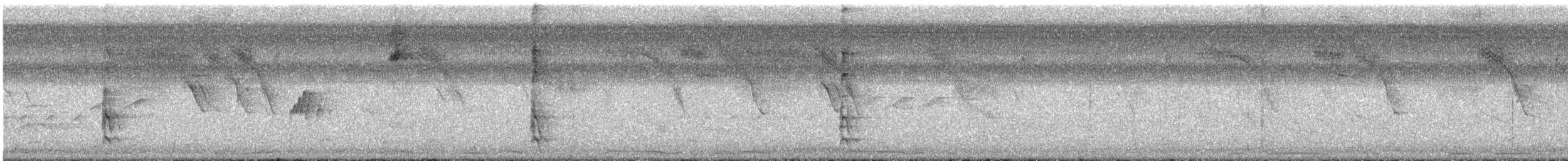 Lineated Woodpecker - ML644542166