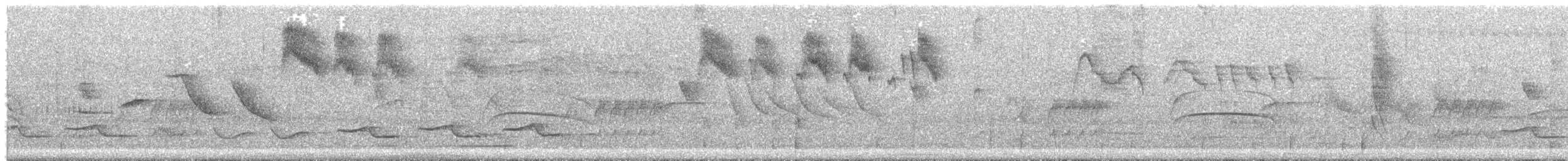 Variegated Flycatcher - ML644542250