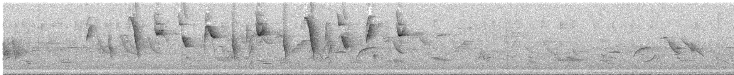 Gray-throated Warbling Finch - ML644542292