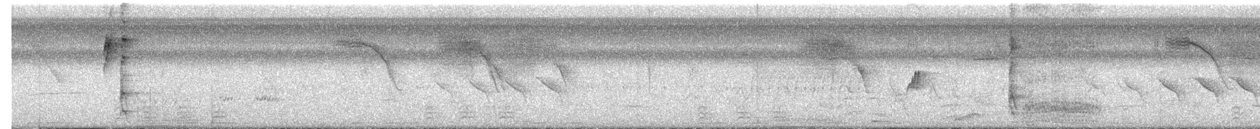 Lineated Woodpecker - ML644542407