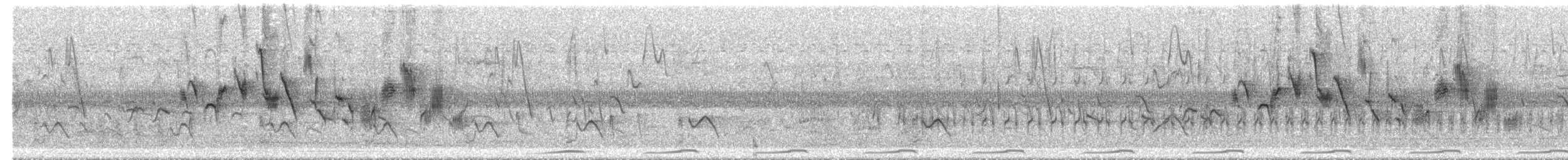 Sporophile à col double - ML644542433