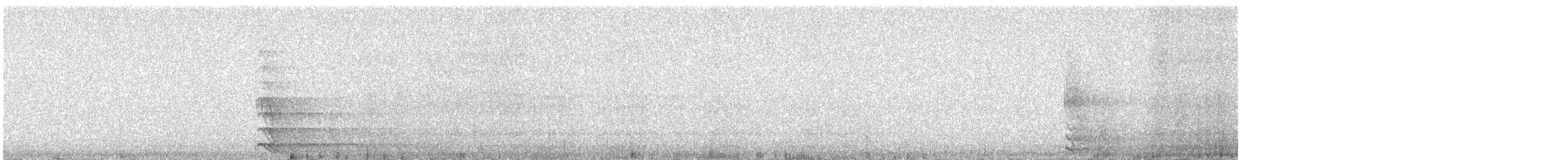 Northern Saw-whet Owl - ML644542462