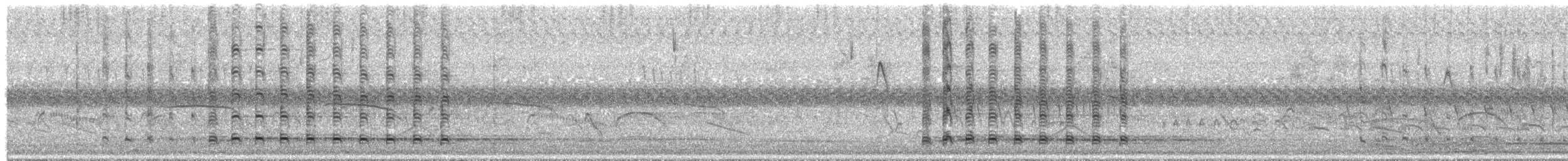 Ibis plombé - ML644542513