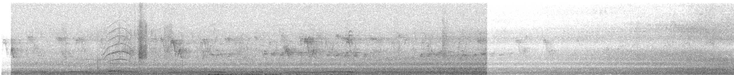 West Peruvian Dove - ML644542522