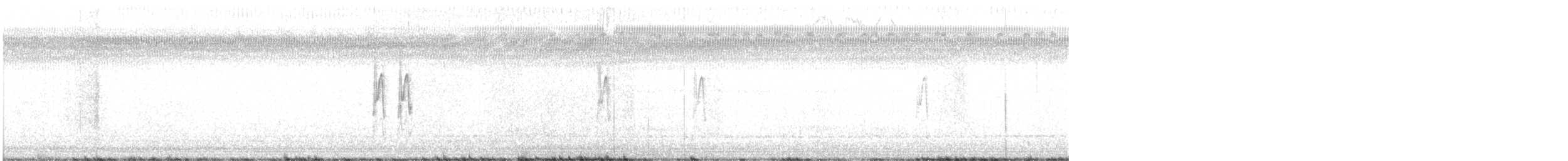 Sprague's Pipit - ML644542652