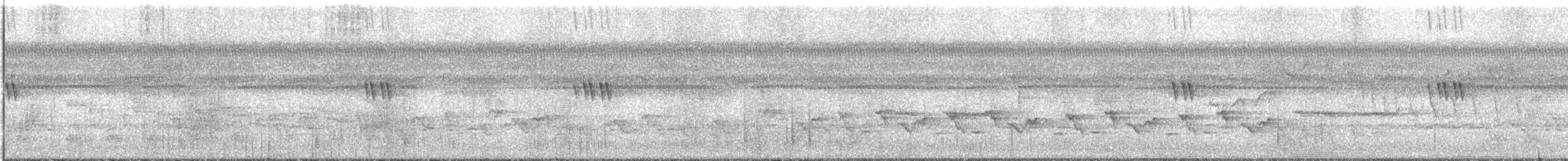 Оливковий долгонос - ML644542672