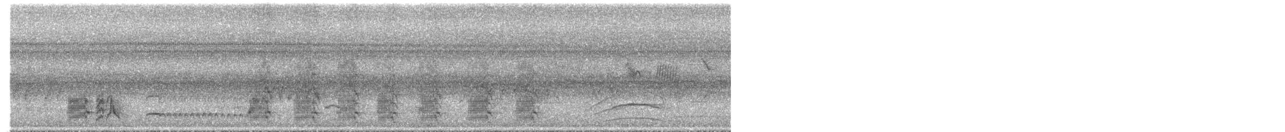 Tyran de Swainson - ML644542688