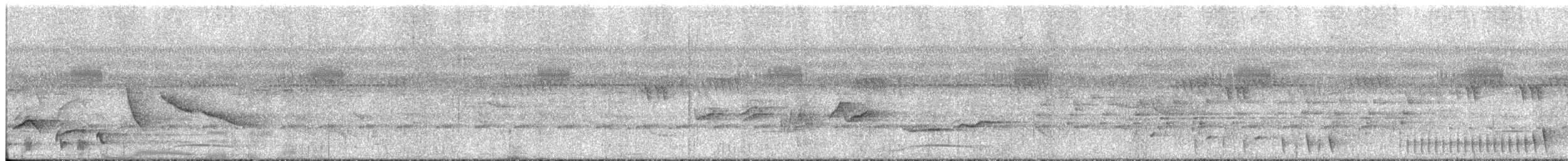 Western Nicator - ML644542877