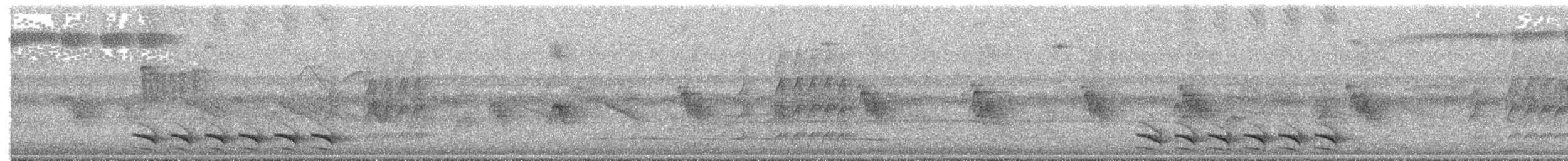 Batara bleuâtre - ML644542878