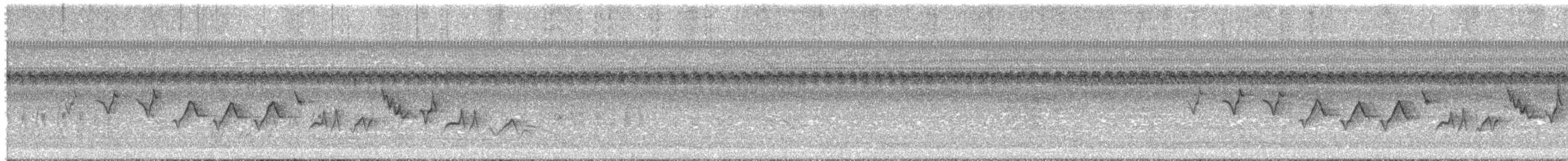 Paruline voilée - ML644542933