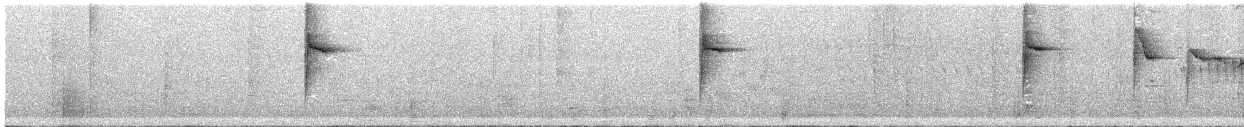 White-browed Warbler - ML644542947