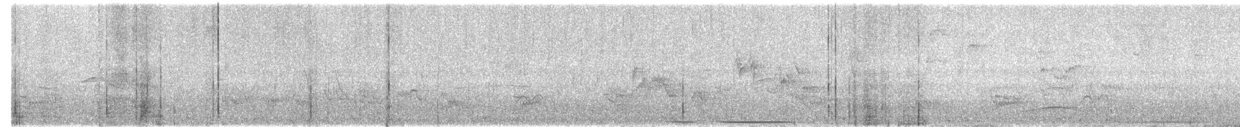 Swainson's Flycatcher - ML644543144