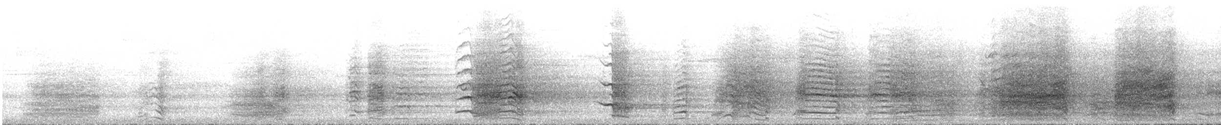 Sulphur-crested Cockatoo - ML644544103