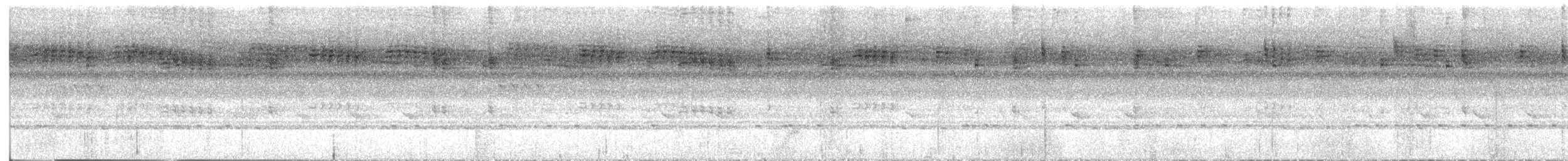 Speckled Tinkerbird - ML644544114