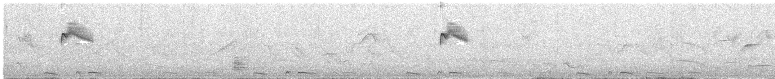 Variegated Flycatcher - ML644544125