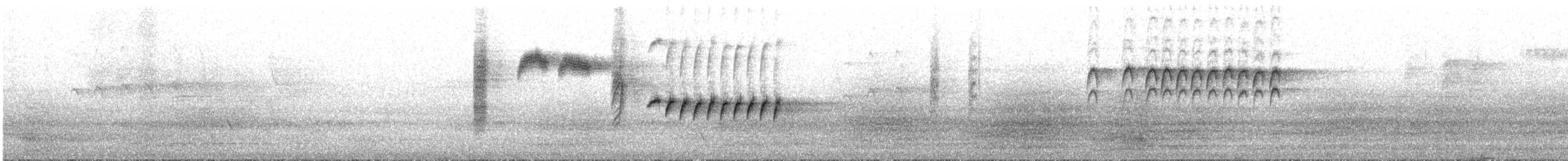 Tasmanian Thornbill - ML644544138