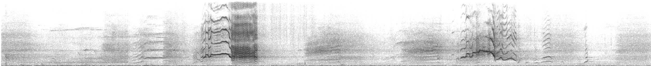 キイロオクロオウム - ML644544145