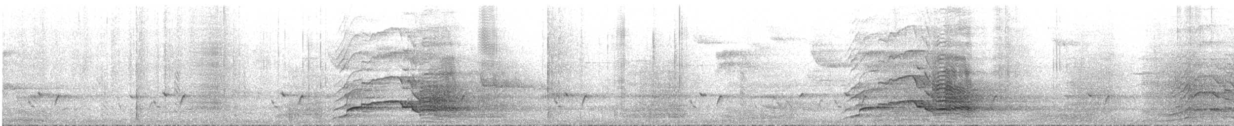 キイロオクロオウム - ML644544152