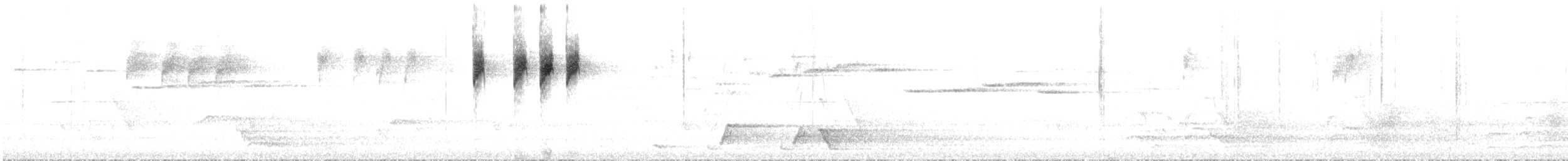 Тасманийская кустовка - ML644544194