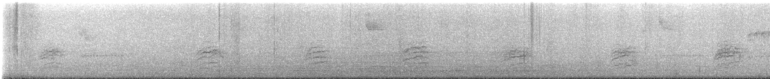 Hermit Thrush - ML644544290