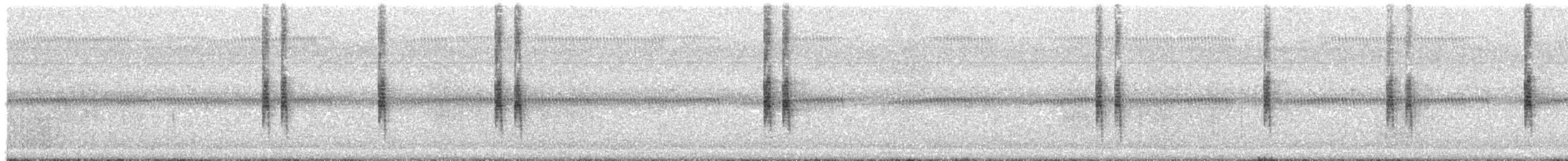 White-banded Mockingbird - ML644544406