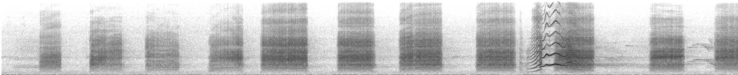 キイロオクロオウム - ML644544509