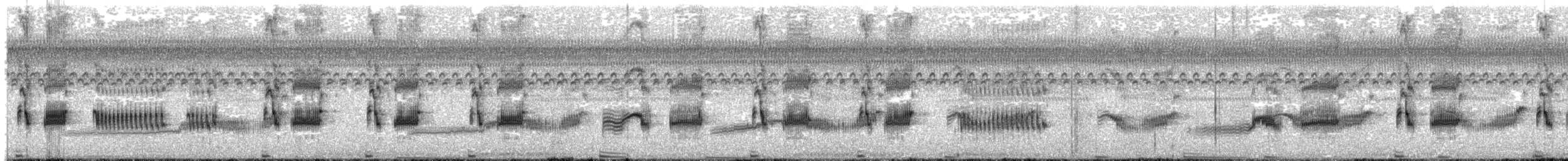 Plumbeous Rail - ML644544590