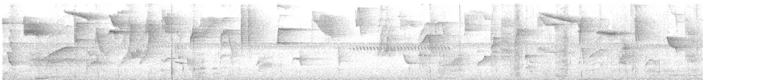 Rufous-brown Solitaire - ML644544591