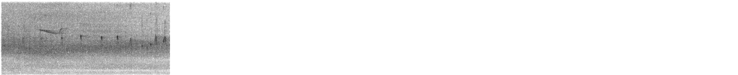 Sick's Swift - ML644545426